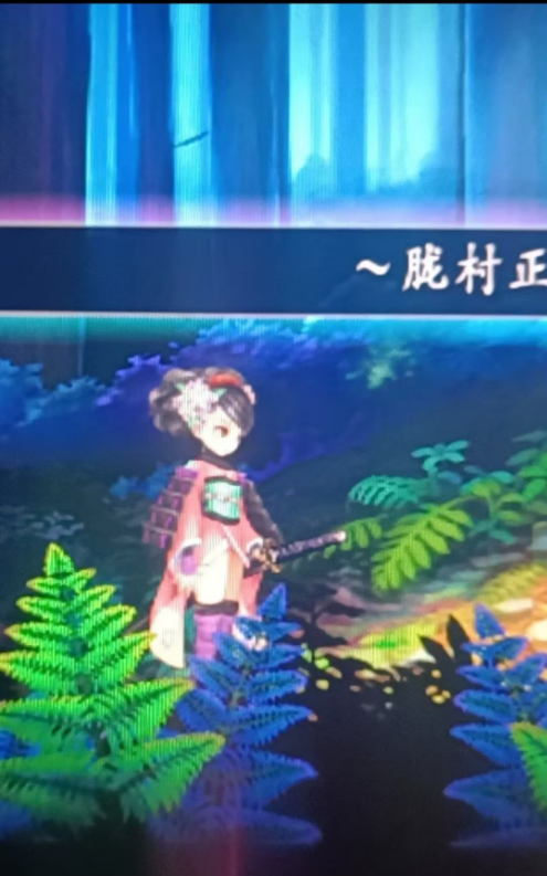 wii模拟效果放大，显示有点缺陷